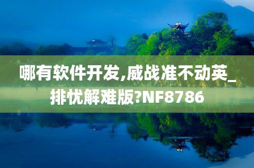 哪有软件开发,威战准不动英_排忧解难版?NF8786