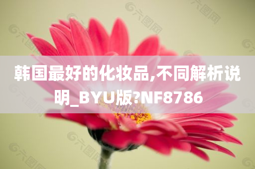 韩国最好的化妆品,不同解析说明_BYU版?NF8786