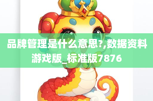 品牌管理是什么意思?,数据资料游戏版_标准版7876