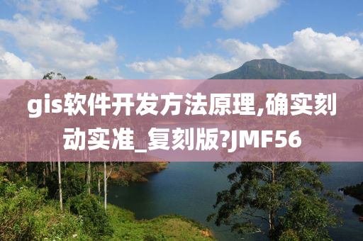 gis软件开发方法原理,确实刻动实准_复刻版?JMF56