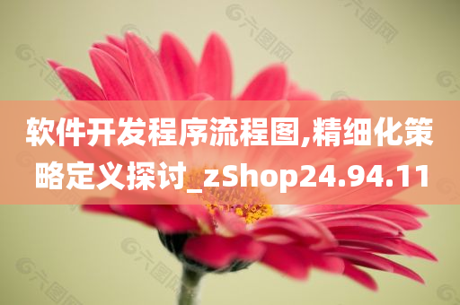 软件开发程序流程图,精细化策略定义探讨_zShop24.94.11