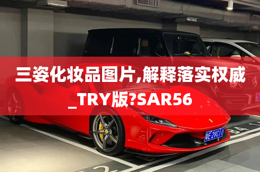 三姿化妆品图片,解释落实权威_TRY版?SAR56