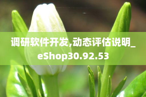 调研软件开发,动态评估说明_eShop30.92.53