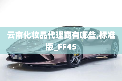 云南化妆品代理商有哪些,标准版_FF45