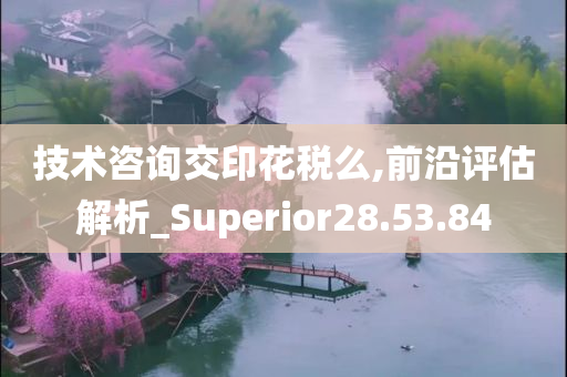 技术咨询交印花税么,前沿评估解析_Superior28.53.84