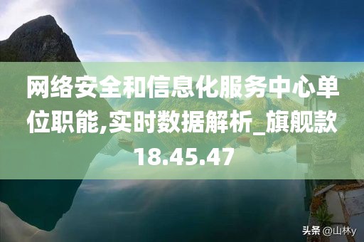 网络安全和信息化服务中心单位职能,实时数据解析_旗舰款18.45.47