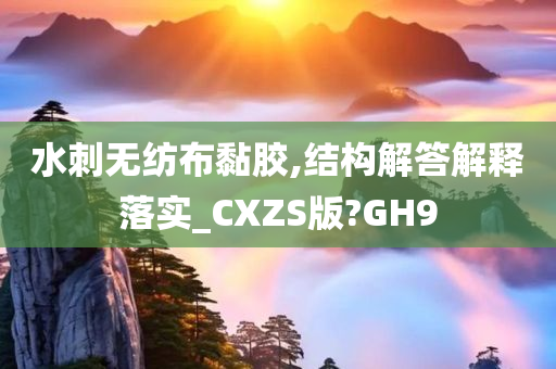 水刺无纺布黏胶,结构解答解释落实_CXZS版?GH9