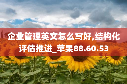 企业管理英文怎么写好,结构化评估推进_苹果88.60.53