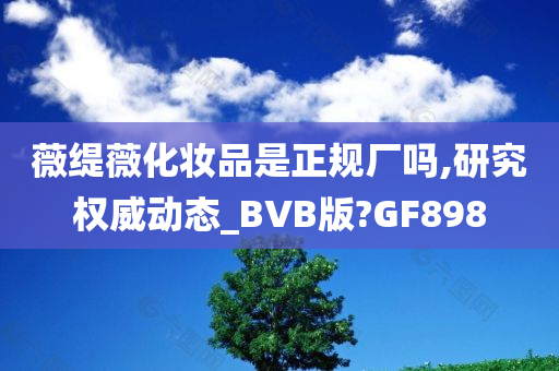 薇缇薇化妆品是正规厂吗,研究权威动态_BVB版?GF898