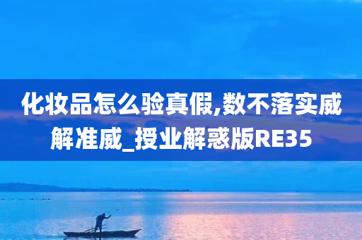 化妆品怎么验真假,数不落实威解准威_授业解惑版RE35