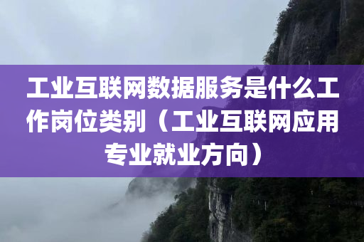 工业互联网数据服务是什么工作岗位类别（工业互联网应用专业就业方向）