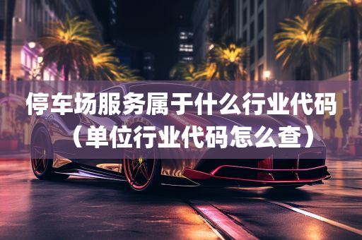 停车场服务属于什么行业代码（单位行业代码怎么查）