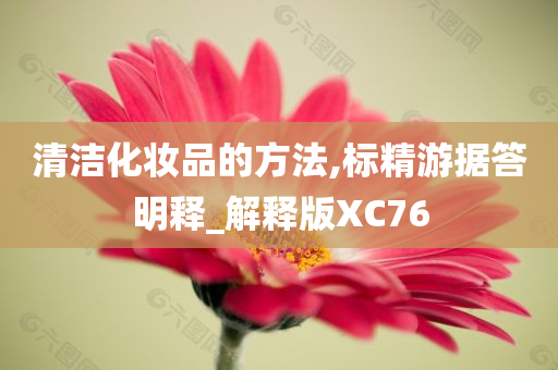 清洁化妆品的方法,标精游据答明释_解释版XC76