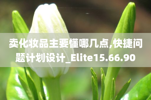 卖化妆品主要懂哪几点,快捷问题计划设计_Elite15.66.90