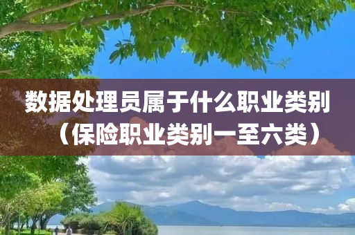 数据处理员属于什么职业类别（保险职业类别一至六类）