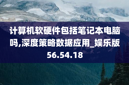 计算机软硬件包括笔记本电脑吗,深度策略数据应用_娱乐版56.54.18