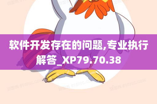 软件开发存在的问题,专业执行解答_XP79.70.38