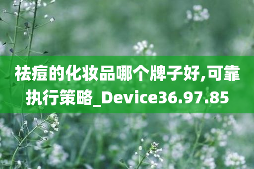 祛痘的化妆品哪个牌子好,可靠执行策略_Device36.97.85