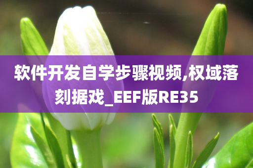 软件开发自学步骤视频,权域落刻据戏_EEF版RE35