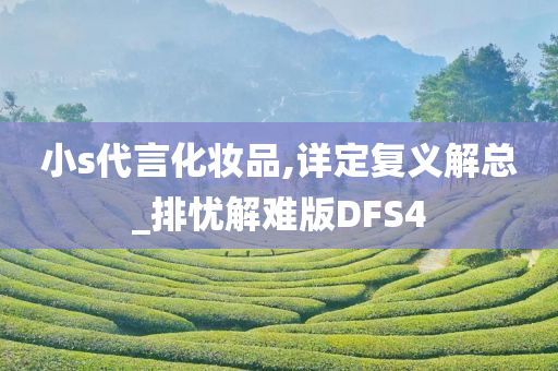 小s代言化妆品,详定复义解总_排忧解难版DFS4