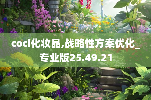 coci化妆品,战略性方案优化_专业版25.49.21