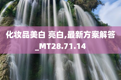 化妆品美白 亮白,最新方案解答_MT28.71.14