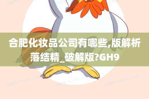 合肥化妆品公司有哪些,版解析落结精_破解版?GH9