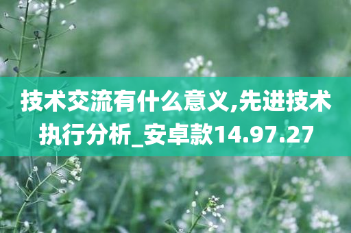 技术交流有什么意义,先进技术执行分析_安卓款14.97.27