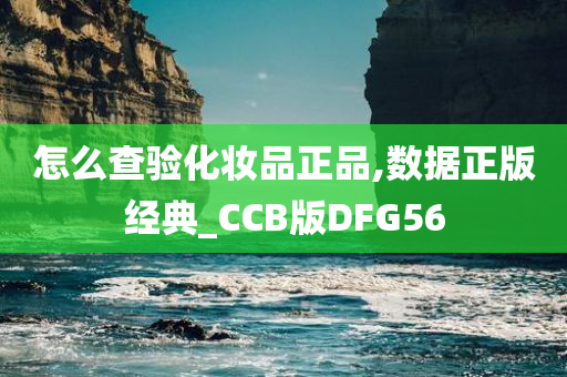 怎么查验化妆品正品,数据正版经典_CCB版DFG56