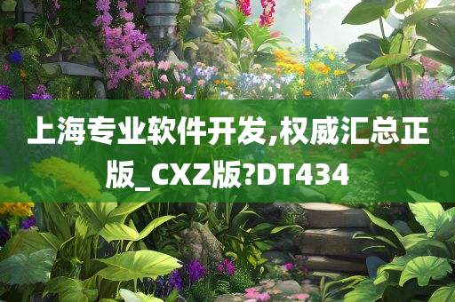 上海专业软件开发,权威汇总正版_CXZ版?DT434