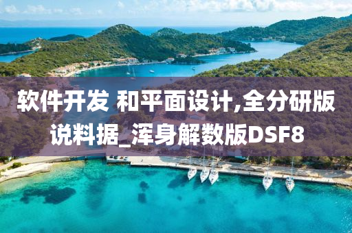 软件开发 和平面设计,全分研版说料据_浑身解数版DSF8