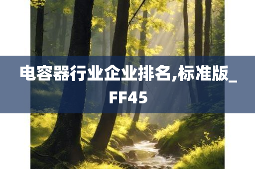 电容器行业企业排名,标准版_FF45