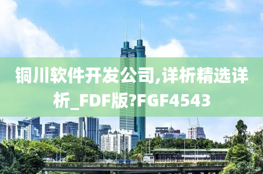 铜川软件开发公司,详析精选详析_FDF版?FGF4543