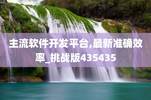 主流软件开发平台,最新准确效率_挑战版435435