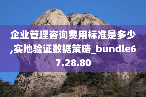 企业管理咨询费用标准是多少,实地验证数据策略_bundle67.28.80