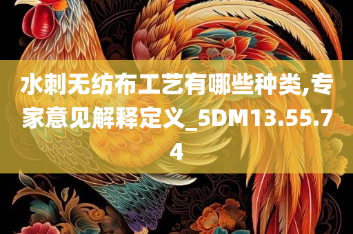 水刺无纺布工艺有哪些种类,专家意见解释定义_5DM13.55.74