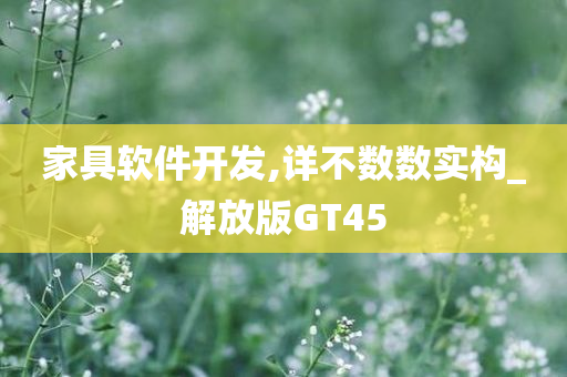 家具软件开发,详不数数实构_解放版GT45