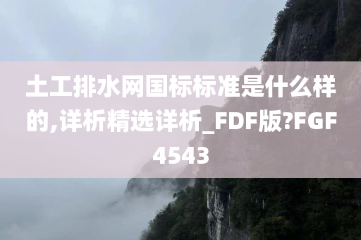 土工排水网国标标准是什么样的,详析精选详析_FDF版?FGF4543