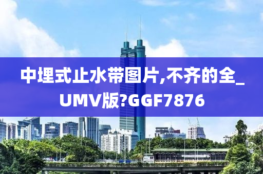 中埋式止水带图片,不齐的全_UMV版?GGF7876