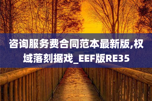 咨询服务费合同范本最新版,权域落刻据戏_EEF版RE35