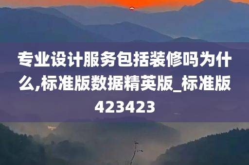 专业设计服务包括装修吗为什么,标准版数据精英版_标准版423423