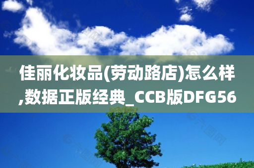 佳丽化妆品(劳动路店)怎么样,数据正版经典_CCB版DFG56