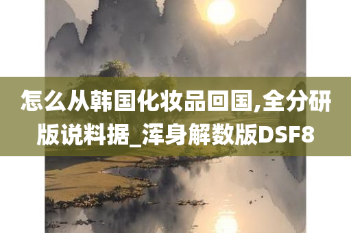 怎么从韩国化妆品回国,全分研版说料据_浑身解数版DSF8