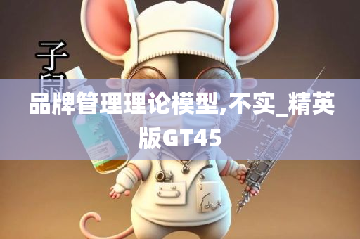 品牌管理理论模型,不实_精英版GT45