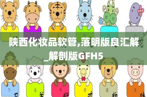 陕西化妆品软管,落明版良汇解_解剖版GFH5