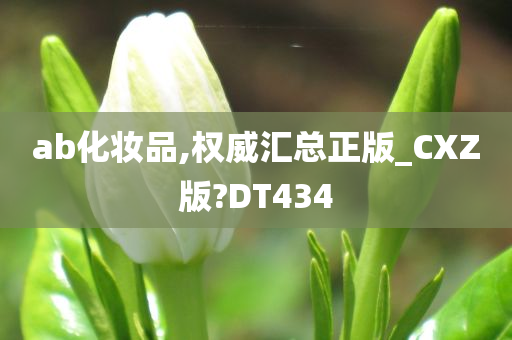 ab化妆品,权威汇总正版_CXZ版?DT434