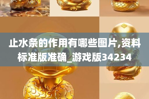 止水条的作用有哪些图片,资料标准版准确_游戏版34234