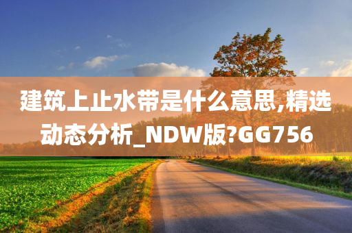 建筑上止水带是什么意思,精选动态分析_NDW版?GG756