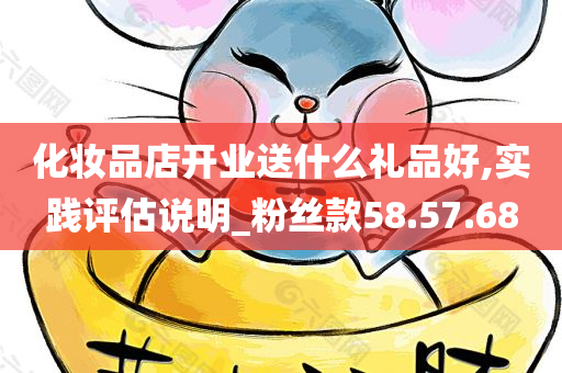 化妆品店开业送什么礼品好,实践评估说明_粉丝款58.57.68