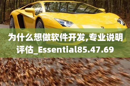 为什么想做软件开发,专业说明评估_Essential85.47.69